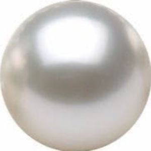 Meet your Posher, Bailey